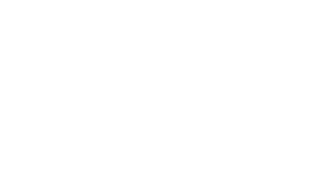 Our Current Lineup